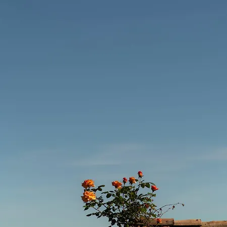 Roero House Holiday home Magliano Alfieri